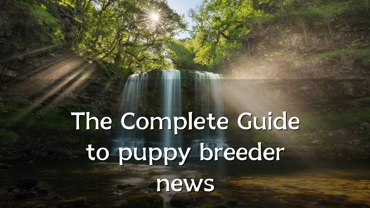 The Complete Guide to puppy breeder news