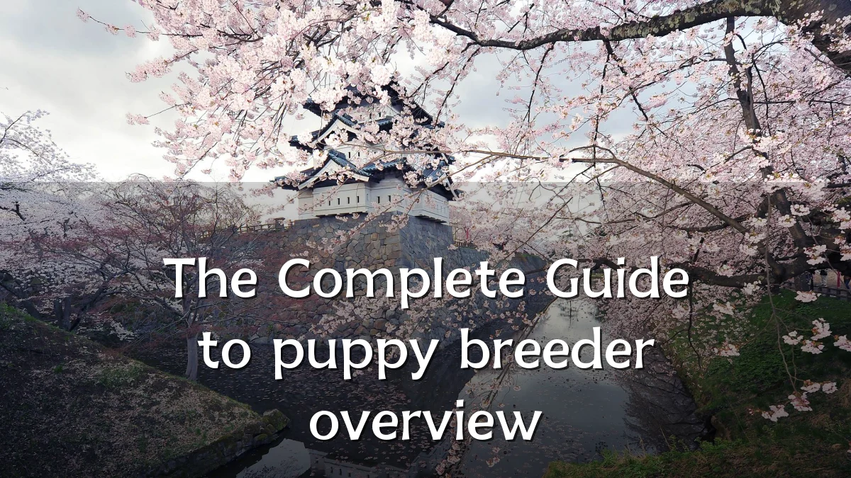 The Complete Guide to puppy breeder overview