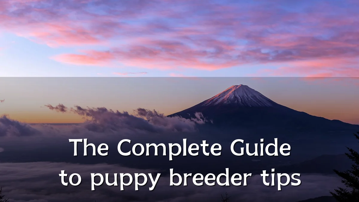 The Complete Guide to puppy breeder tips