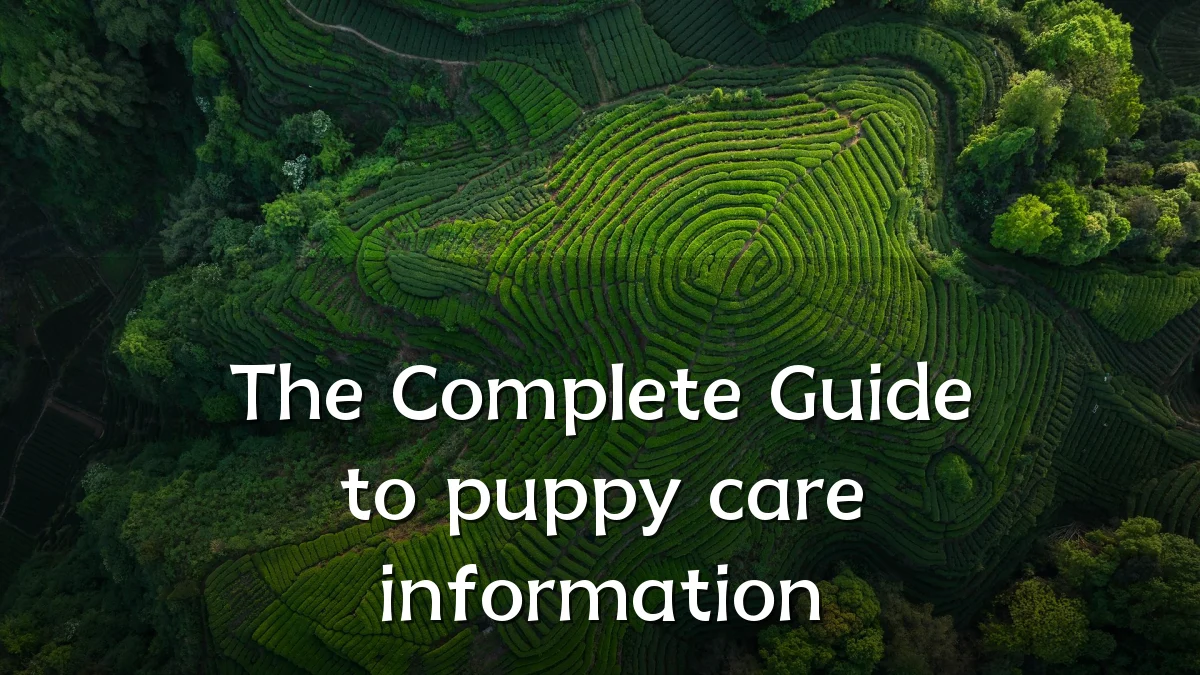 The Complete Guide to puppy care information