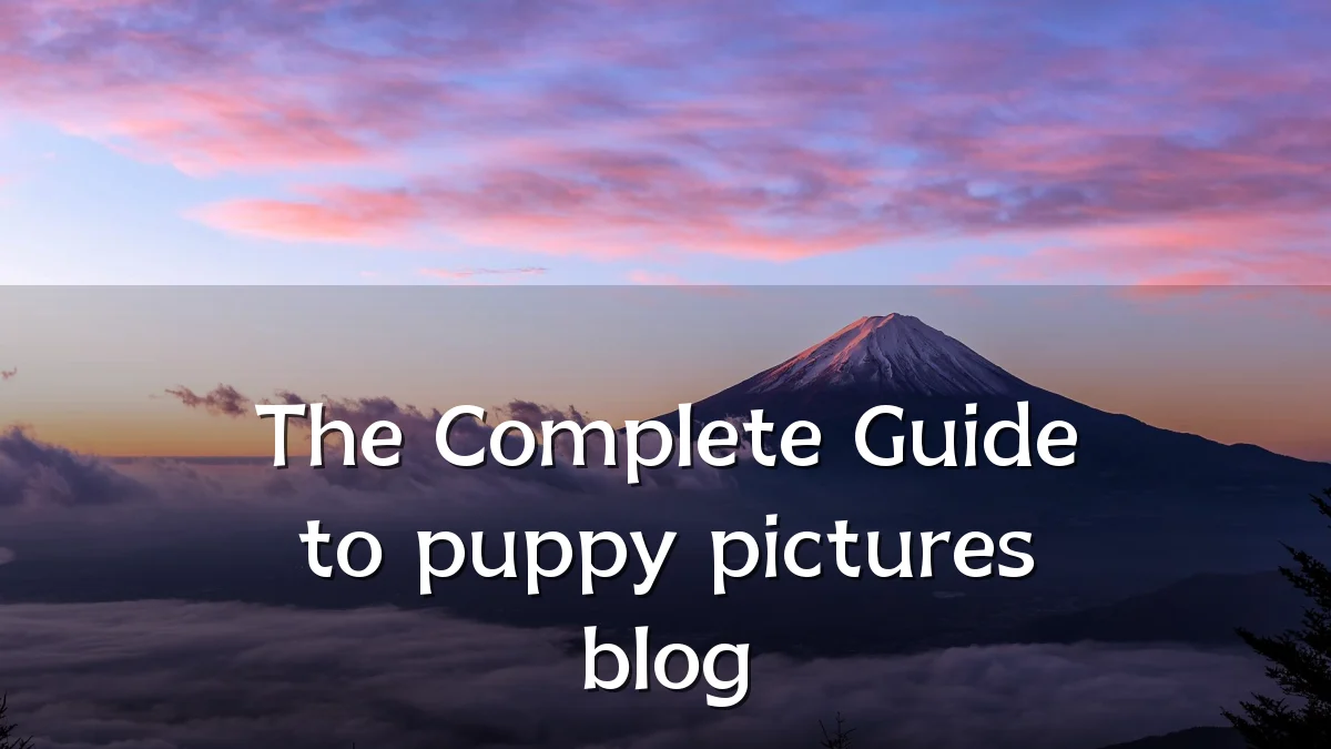 The Complete Guide to puppy pictures blog