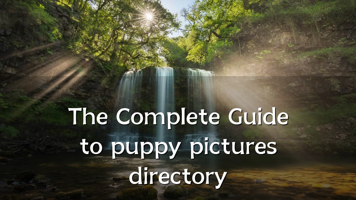 The Complete Guide to puppy pictures directory