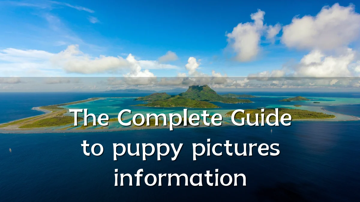 The Complete Guide to puppy pictures information