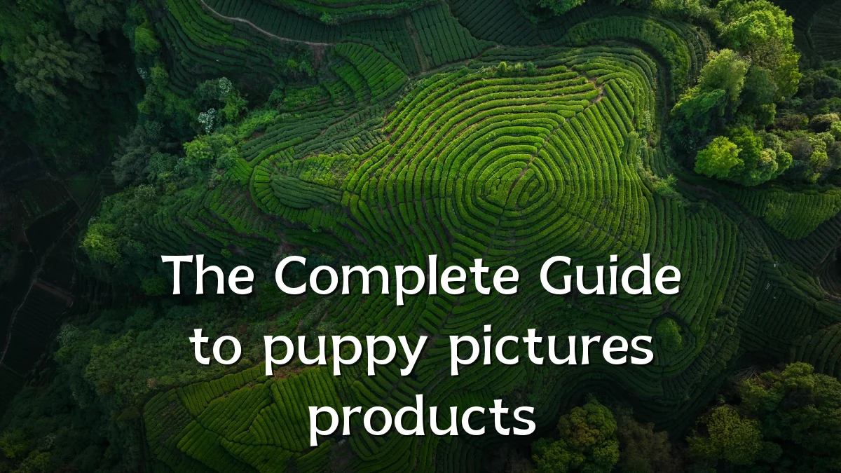 The Complete Guide to puppy pictures products