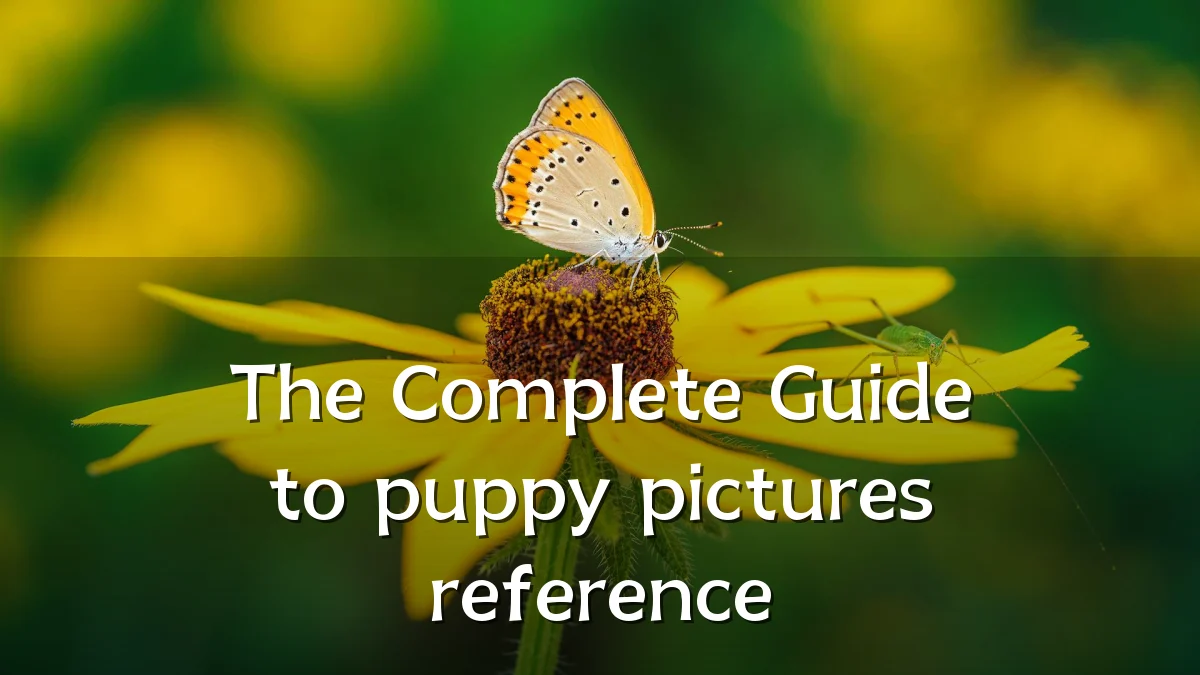 The Complete Guide to puppy pictures reference