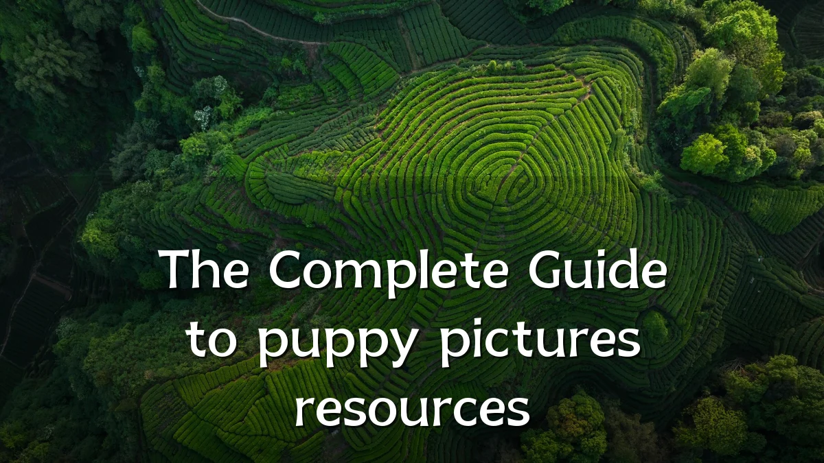 The Complete Guide to puppy pictures resources