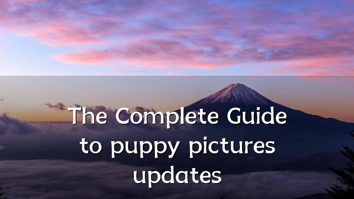 The Complete Guide to puppy pictures updates