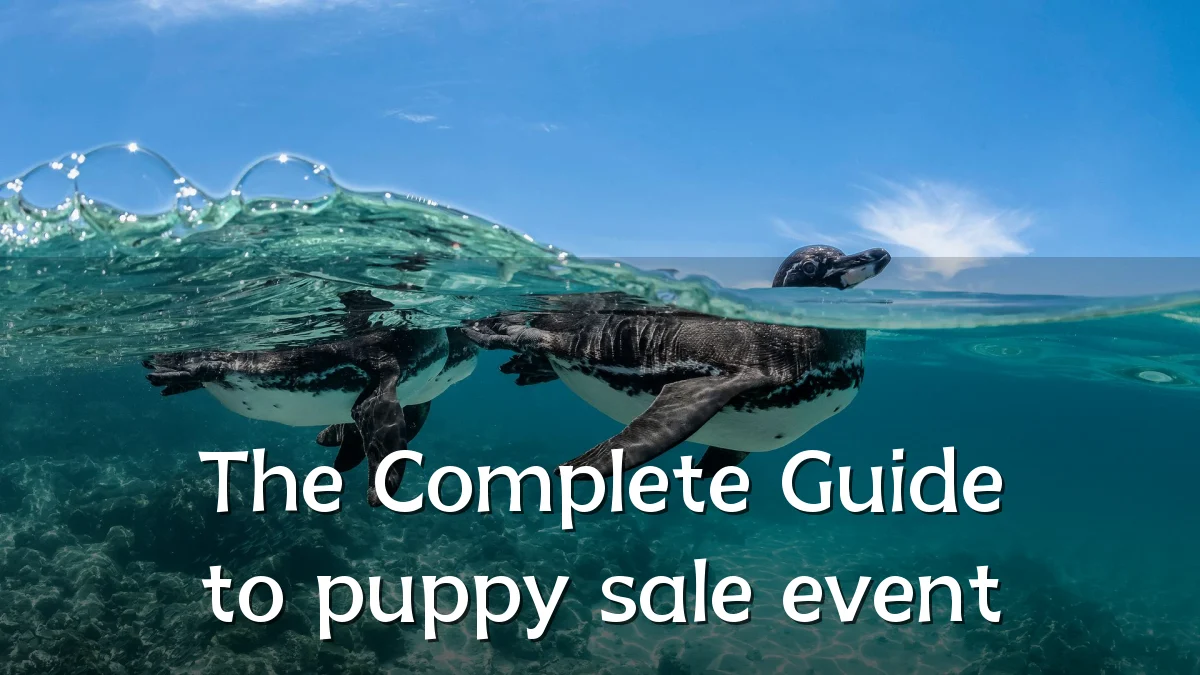 The Complete Guide to puppy sale event