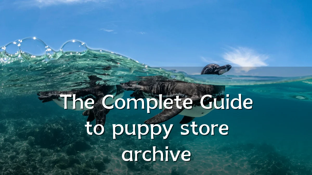 The Complete Guide to puppy store archive
