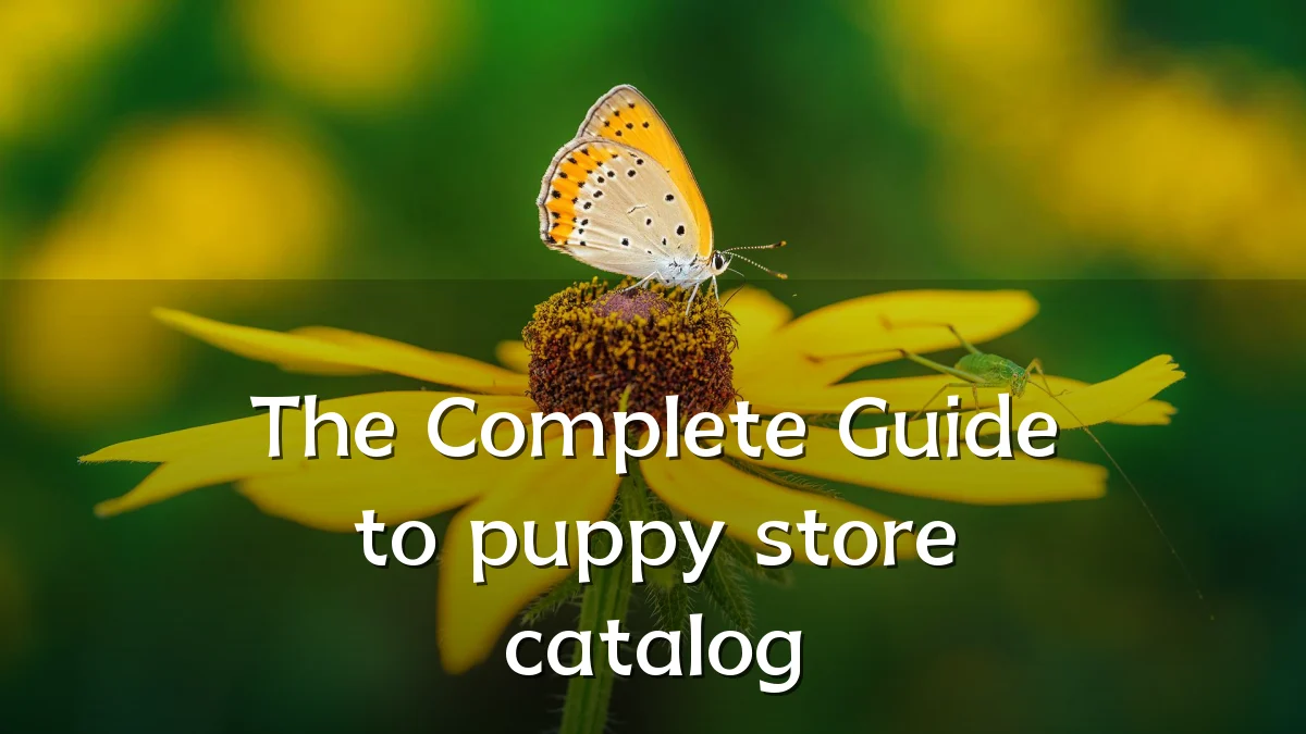 The Complete Guide to puppy store catalog