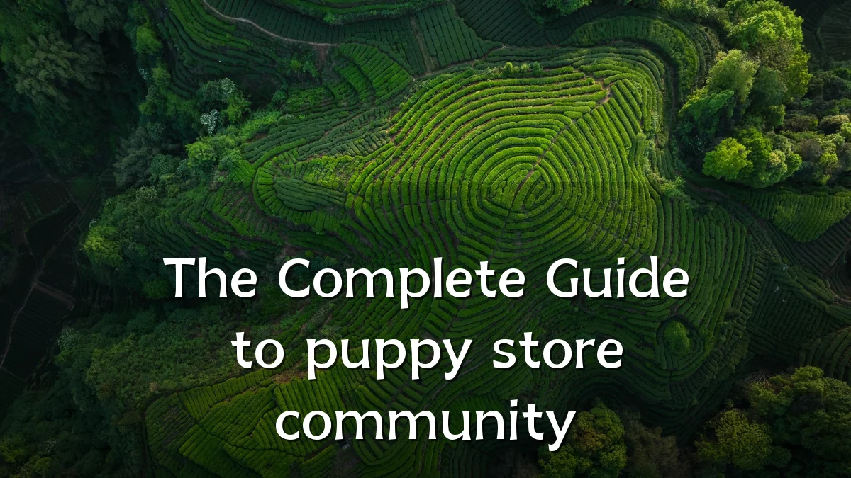 The Complete Guide to puppy store community