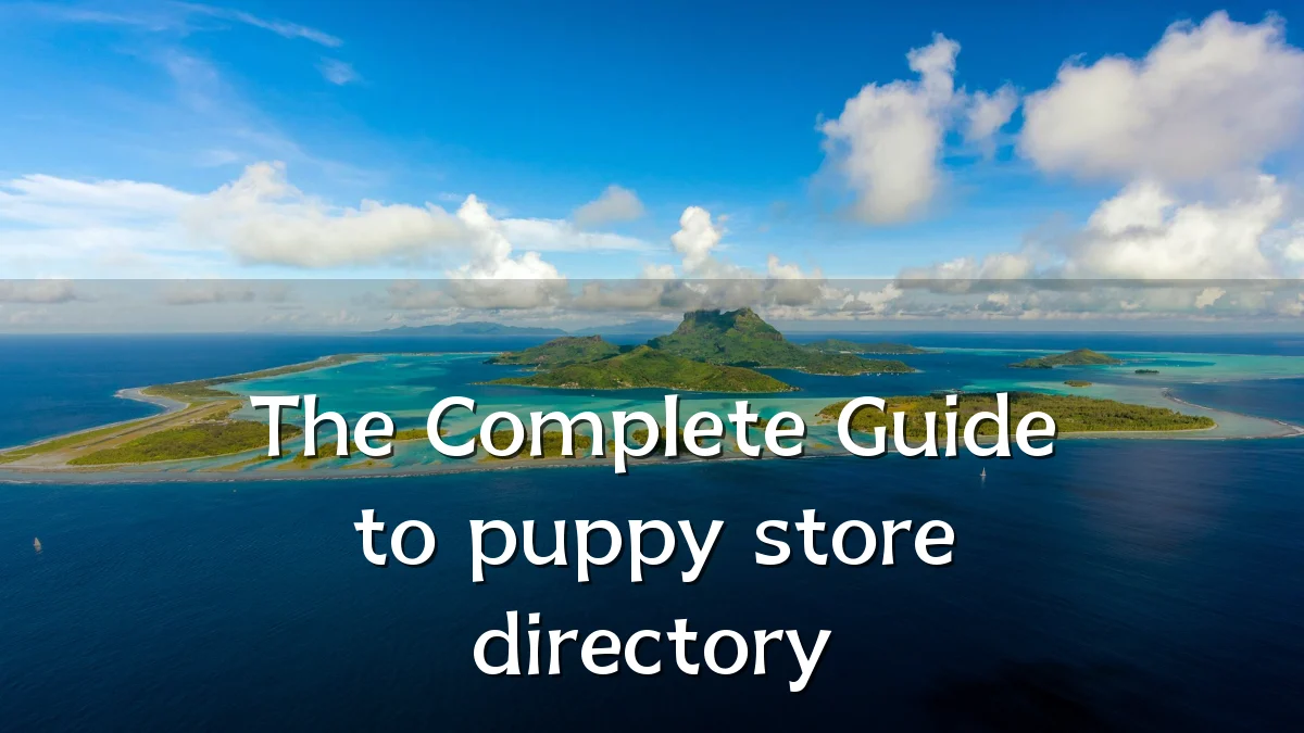The Complete Guide to puppy store directory