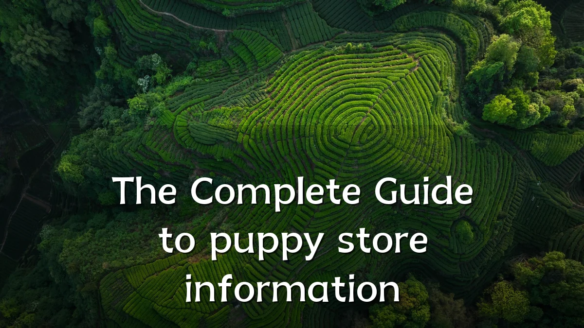 The Complete Guide to puppy store information
