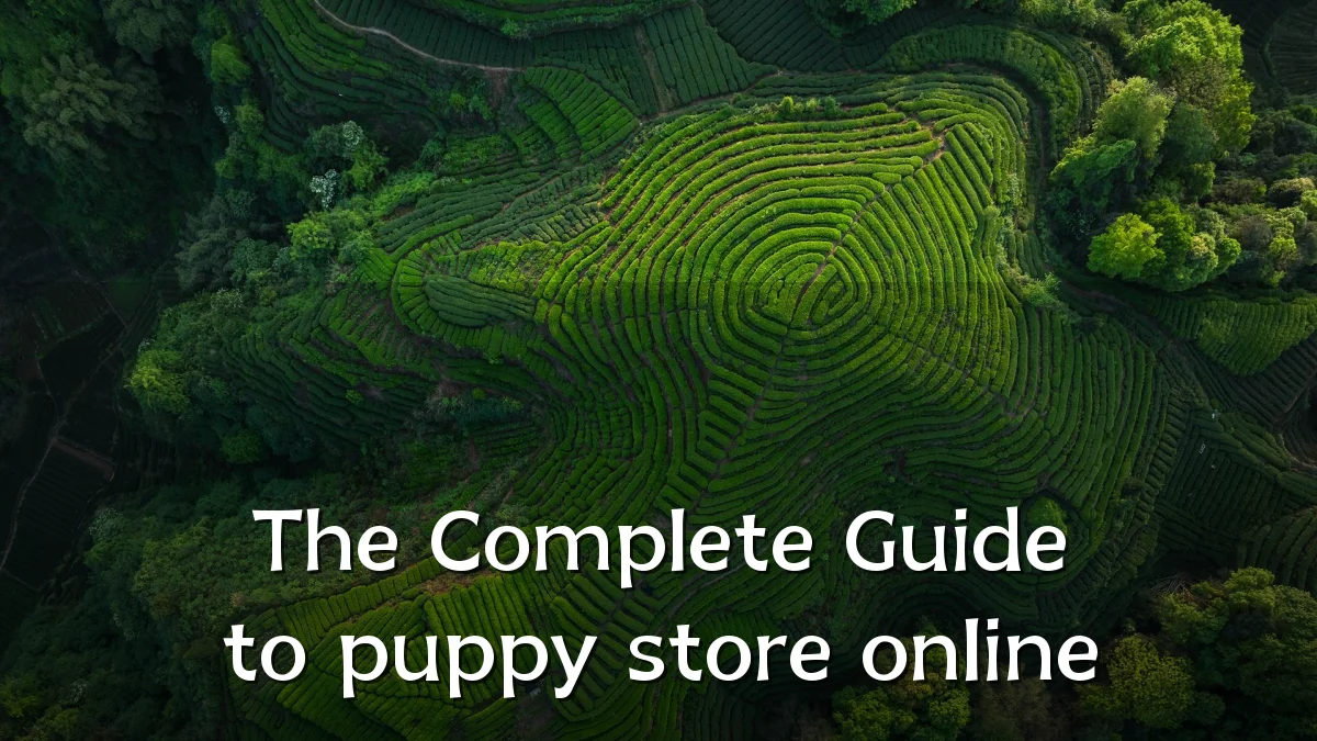 The Complete Guide to puppy store online