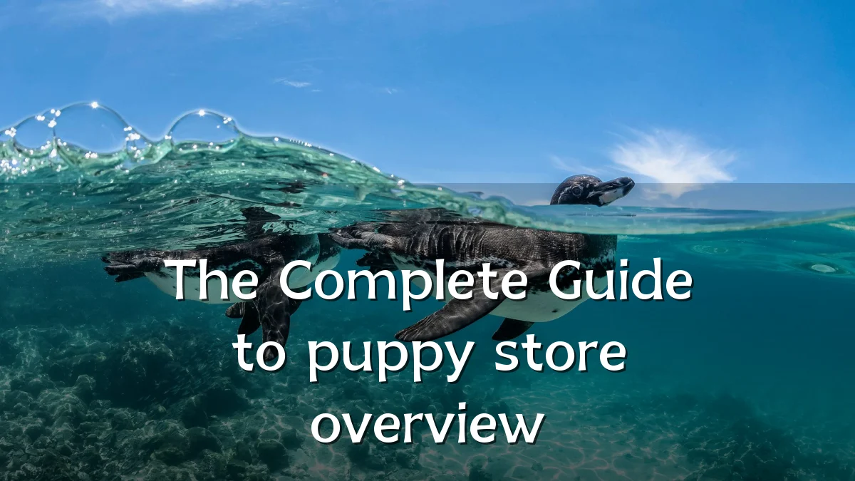 The Complete Guide to puppy store overview