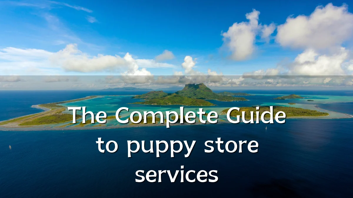 The Complete Guide to puppy store services