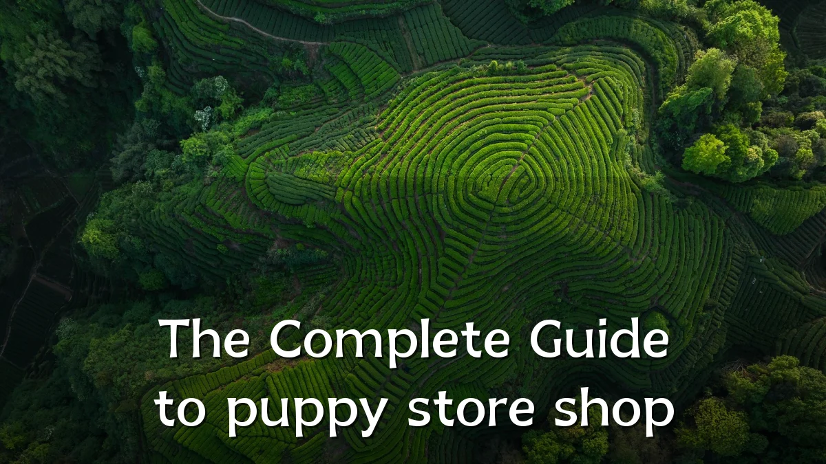 The Complete Guide to puppy store shop