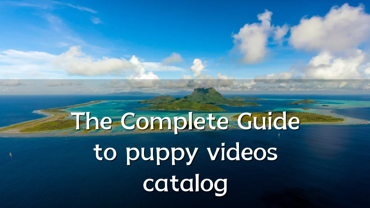 The Complete Guide to puppy videos catalog
