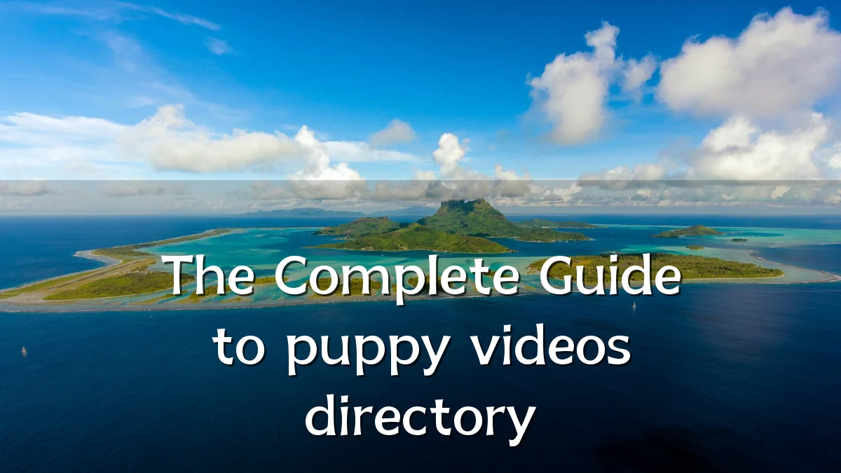 The Complete Guide to puppy videos directory