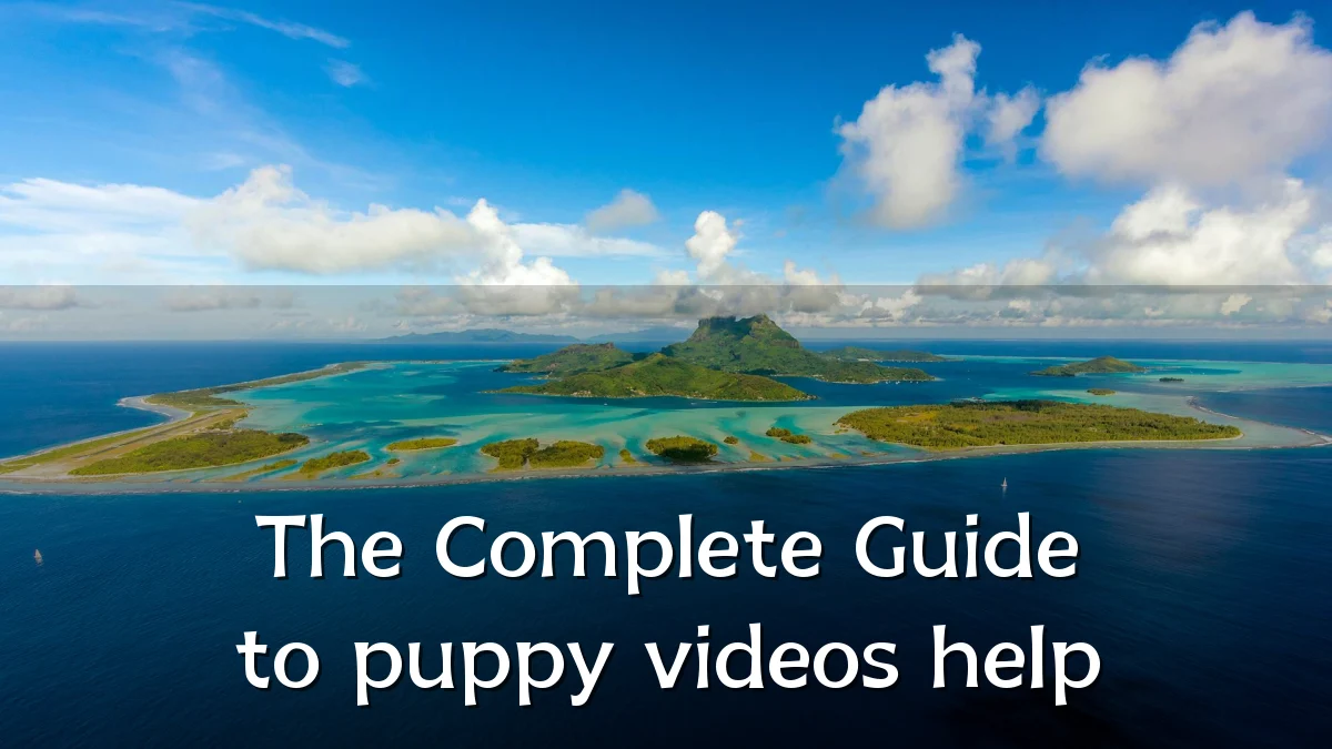 The Complete Guide to puppy videos help