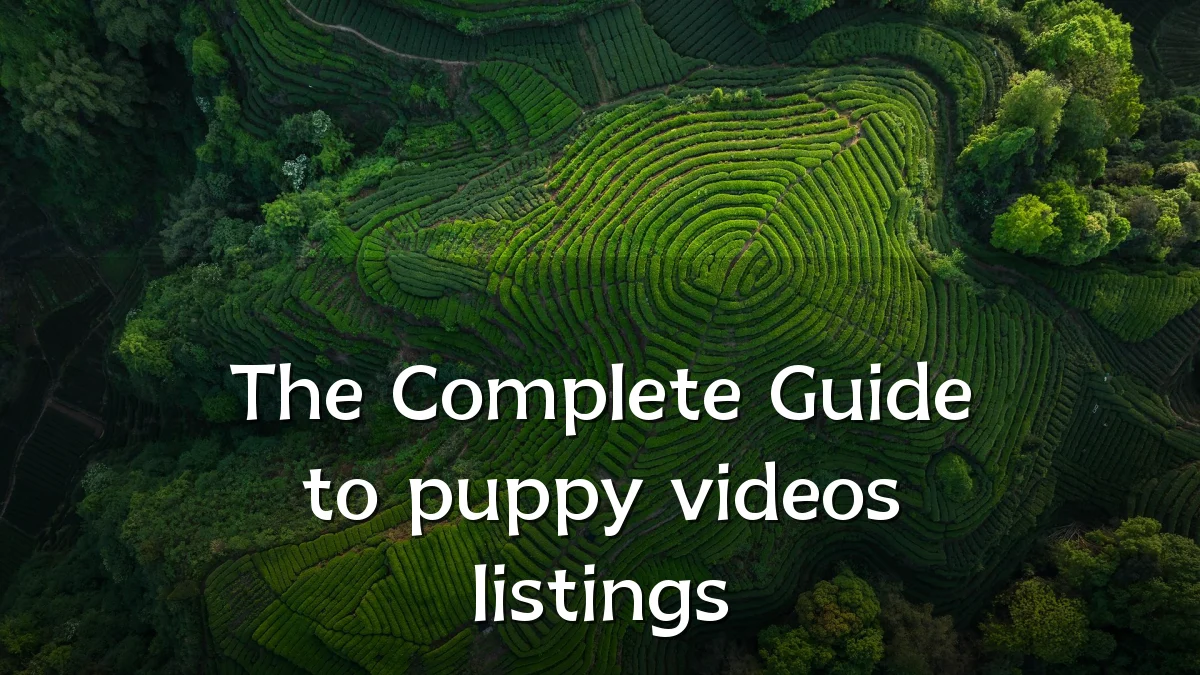The Complete Guide to puppy videos listings