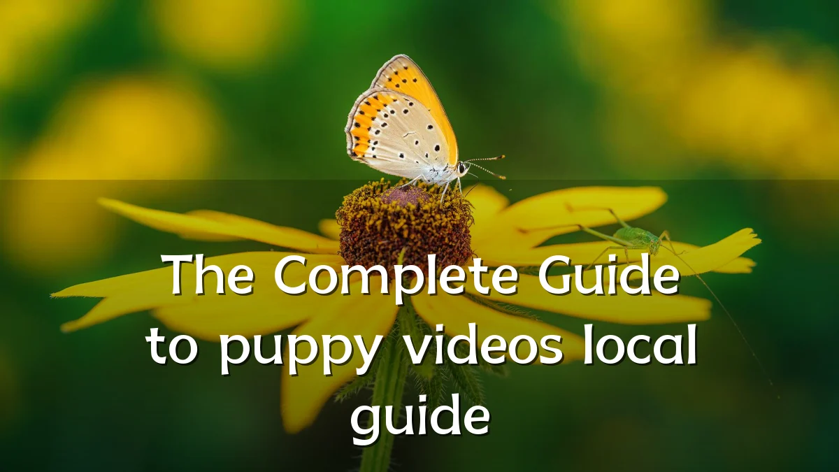 The Complete Guide to puppy videos local guide