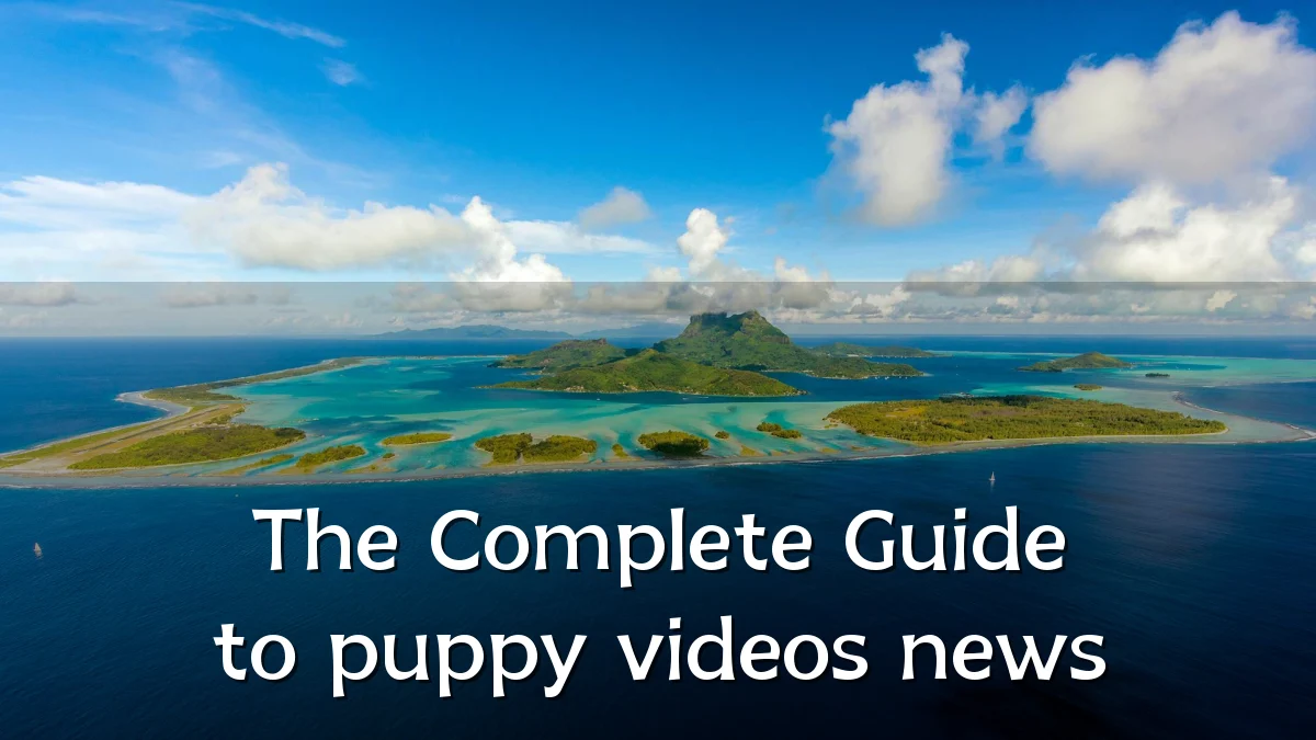 The Complete Guide to puppy videos news