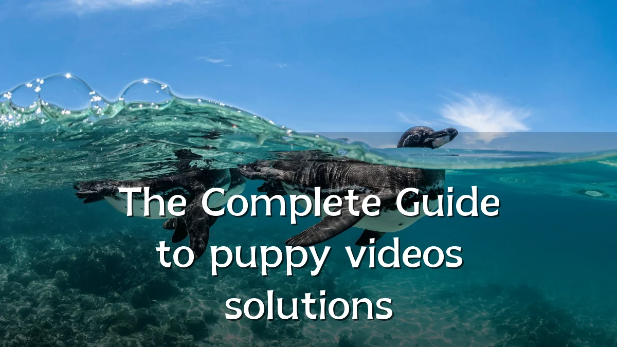 The Complete Guide to puppy videos solutions