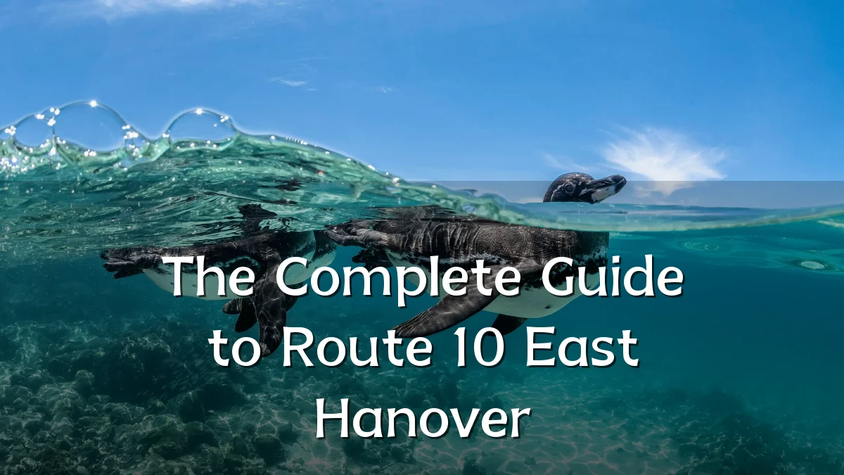 The Complete Guide to Route 10 East Hanover
