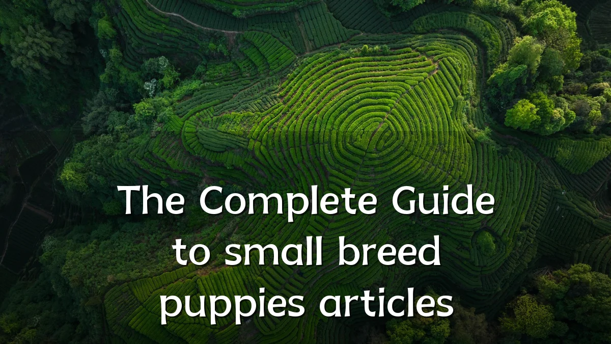 The Complete Guide to small breed puppies articles