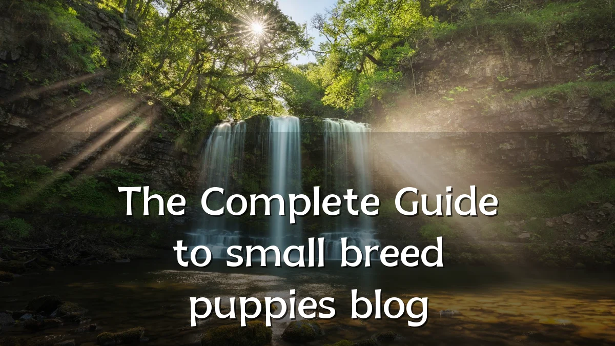 The Complete Guide to small breed puppies blog