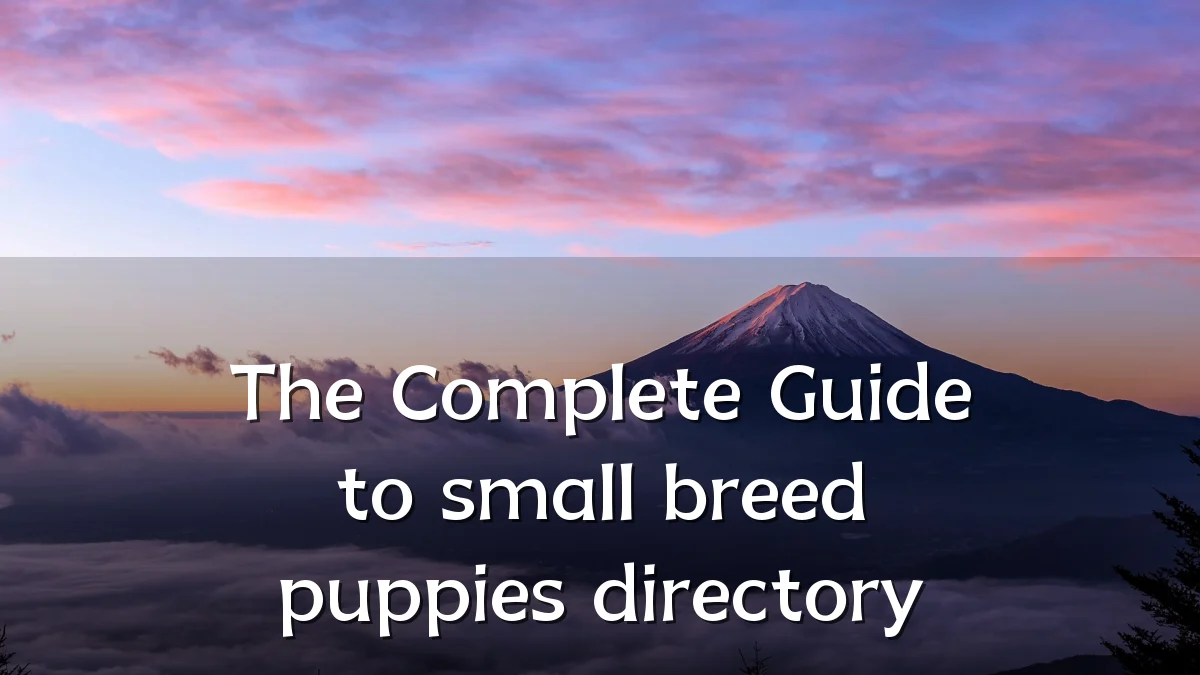 The Complete Guide to small breed puppies directory