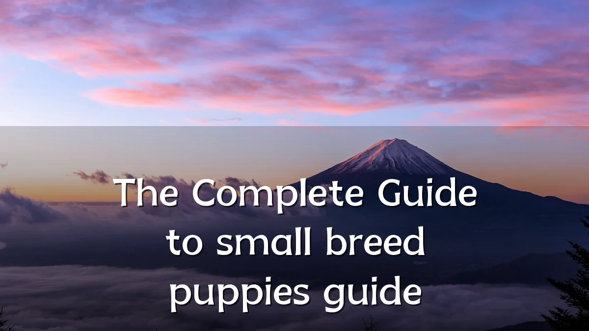 The Complete Guide to small breed puppies guide