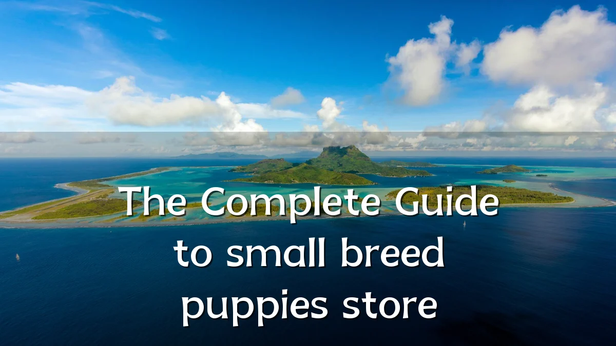 The Complete Guide to small breed puppies store