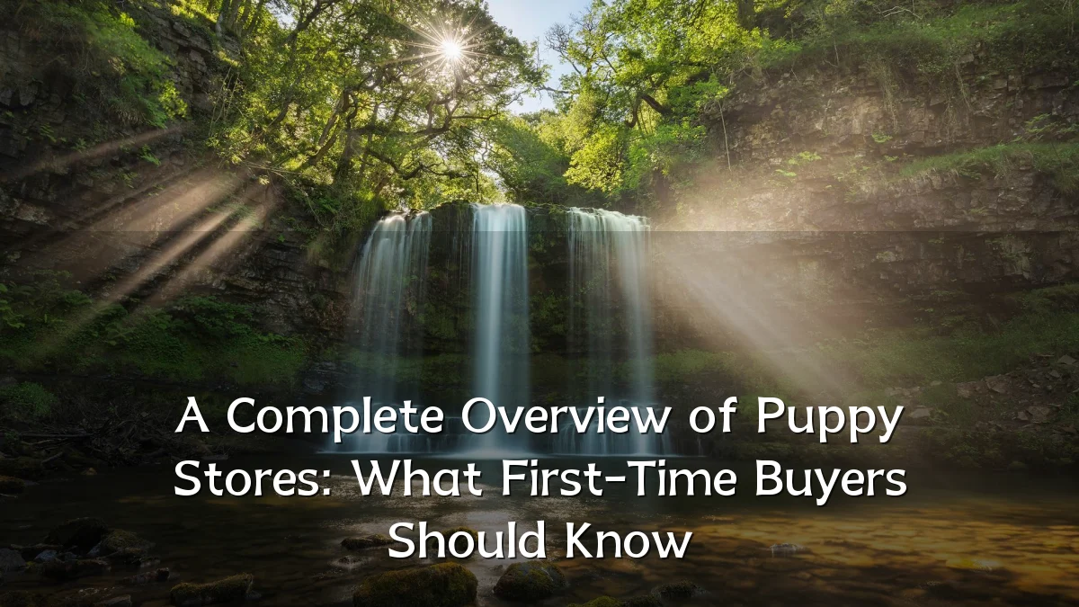 A Complete Overview of Puppy Stores: What First-Time Buyers Should Know