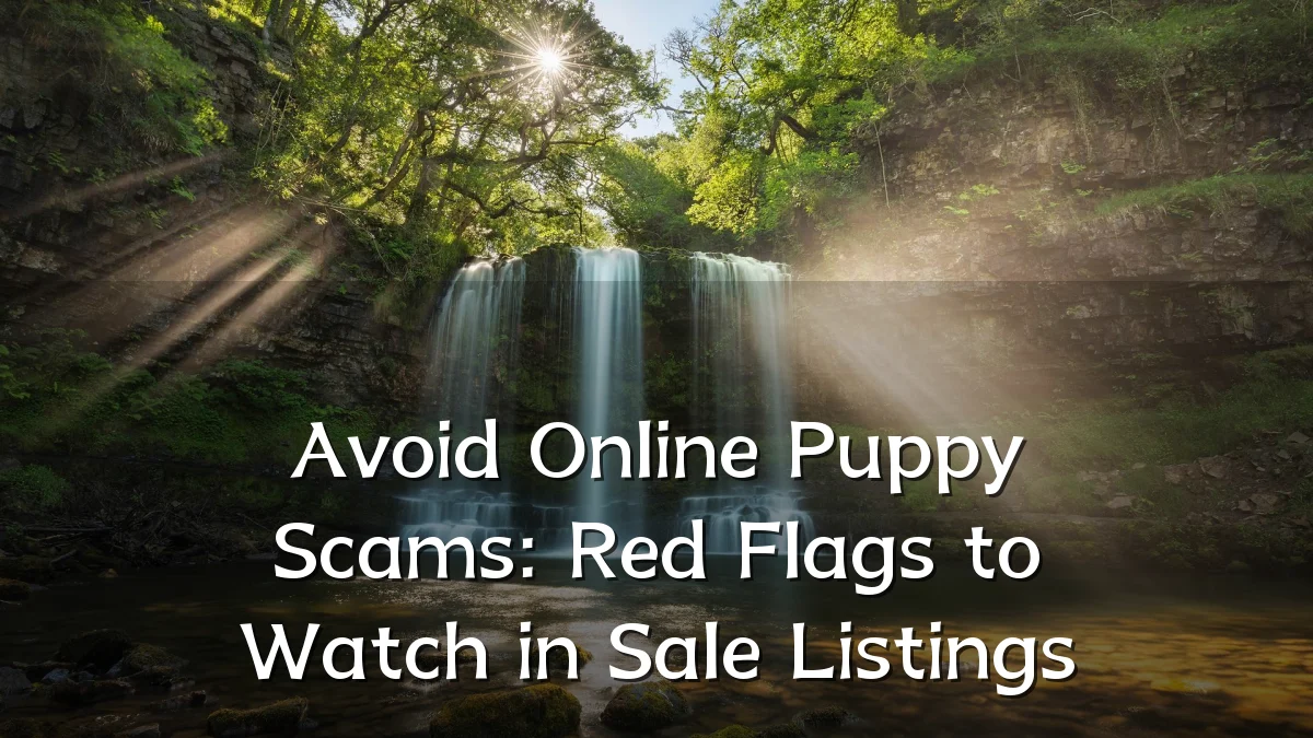 Avoid Online Puppy Scams: Red Flags to Watch in Sale Listings
