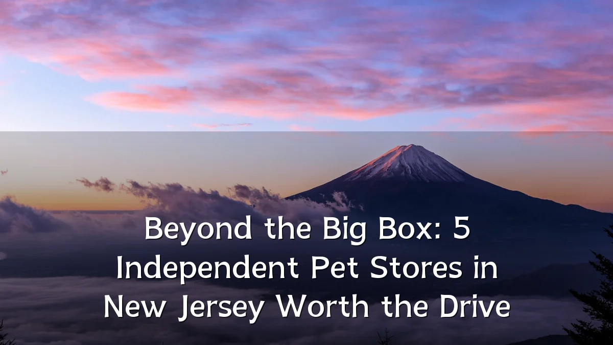Beyond the Big Box: 5 Independent Pet Stores in New Jersey Worth the Drive