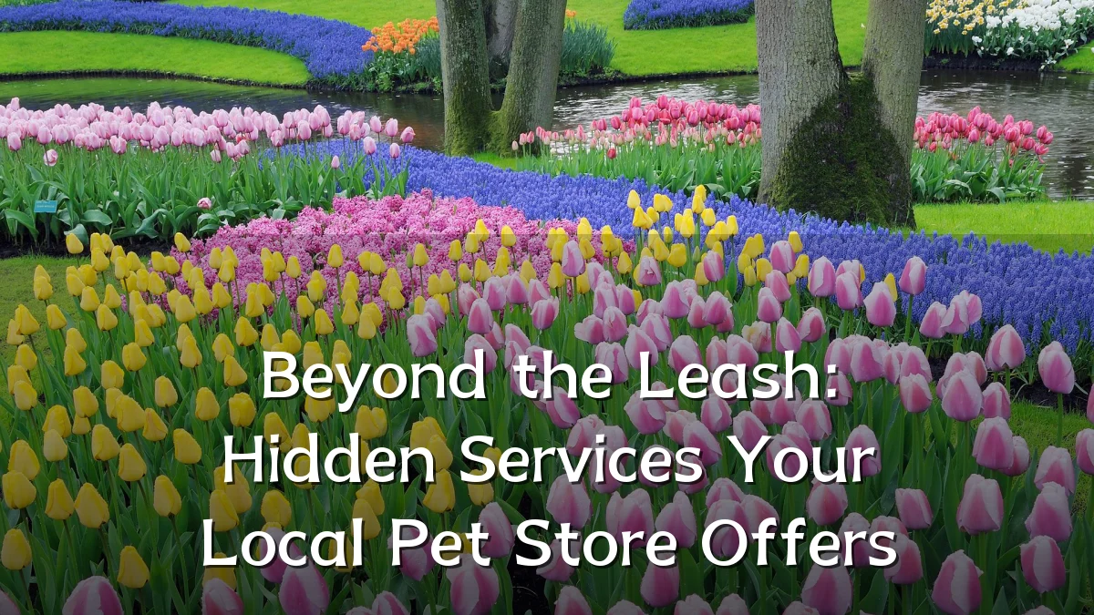 Beyond the Leash: Hidden Services Your Local Pet Store Offers