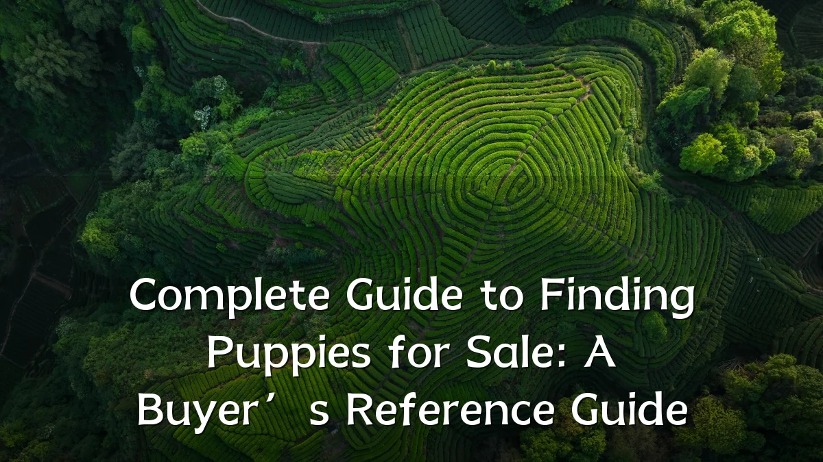 Complete Guide to Finding Puppies for Sale: A Buyer’s Reference Guide