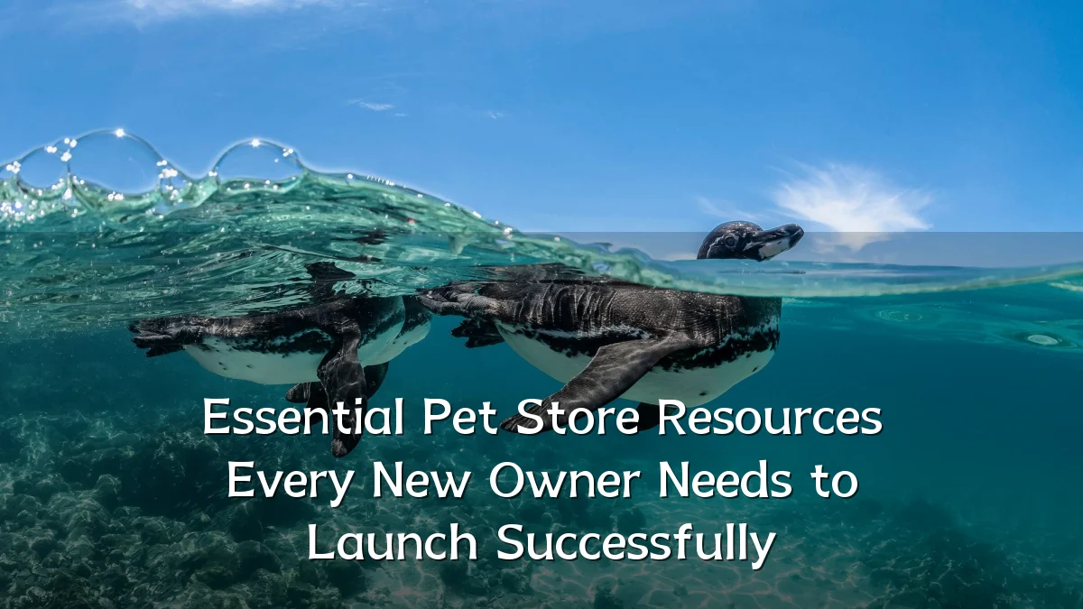 Essential Pet Store Resources Every New Owner Needs to Launch Successfully