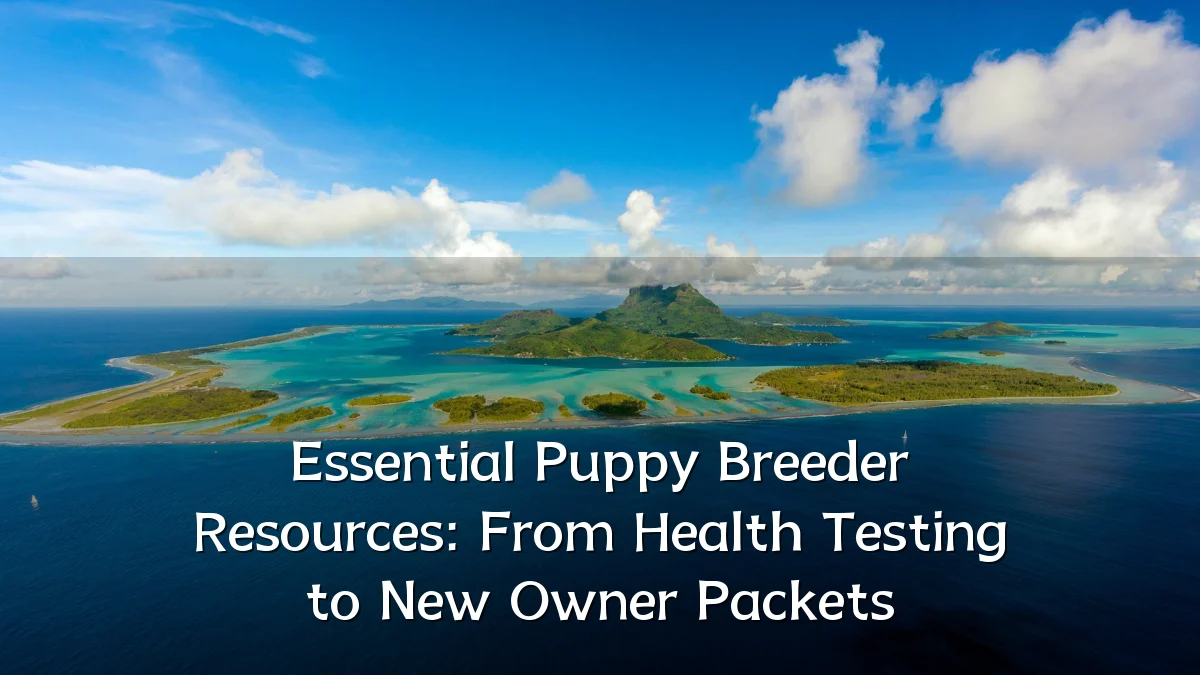 Essential Puppy Breeder Resources: From Health Testing to New Owner Packets