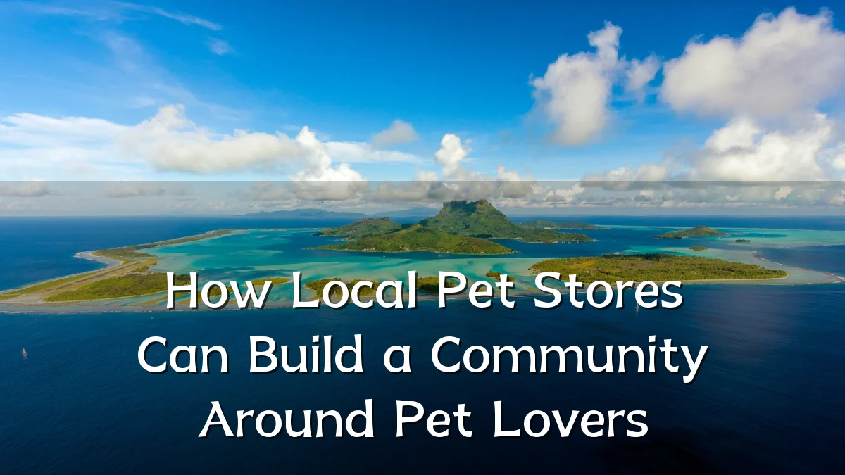 How Local Pet Stores Can Build a Community Around Pet Lovers