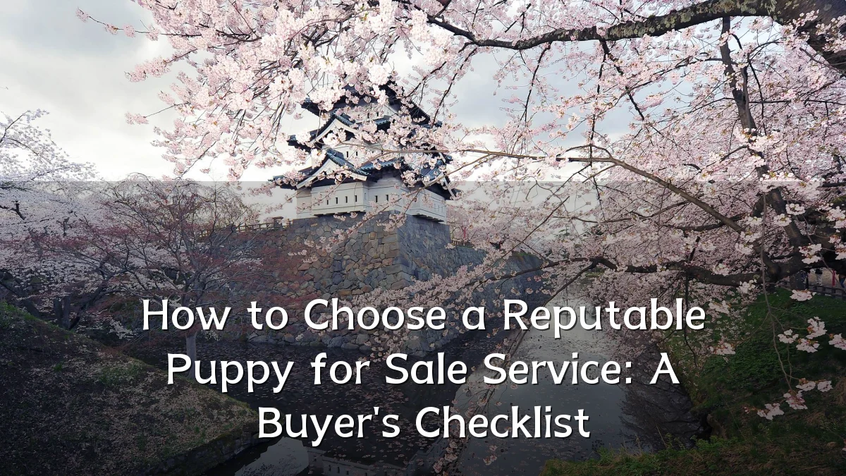 How to Choose a Reputable Puppy for Sale Service: A Buyer's Checklist
