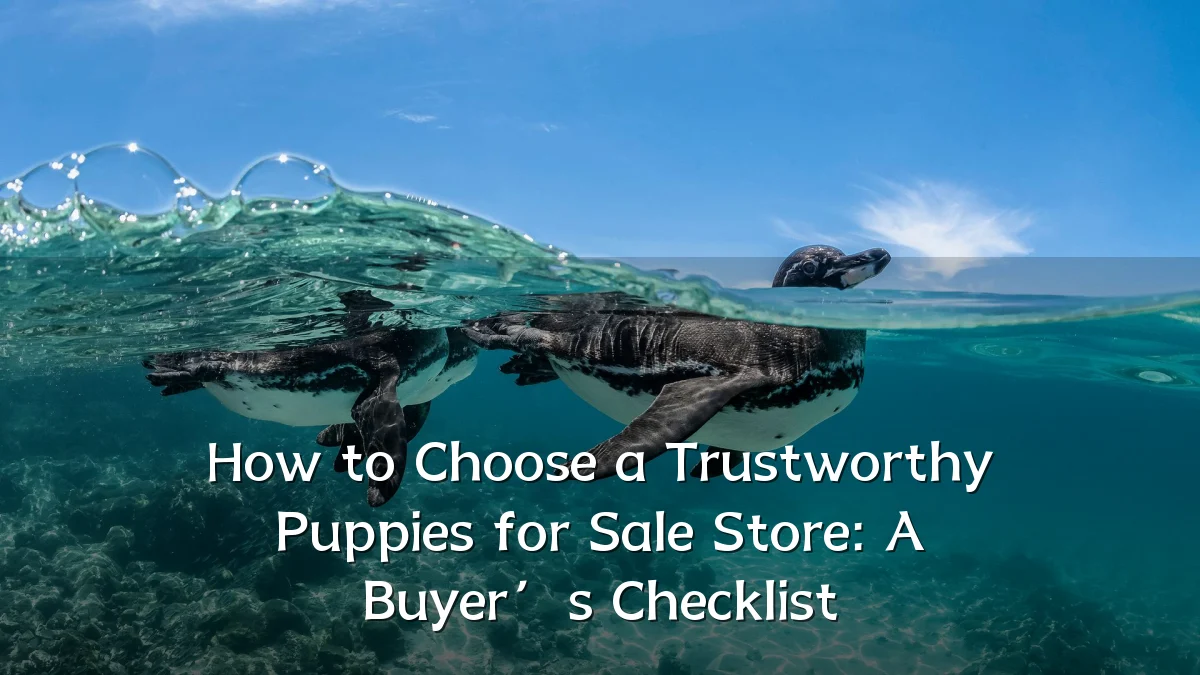 How to Choose a Trustworthy Puppies for Sale Store: A Buyer’s Checklist