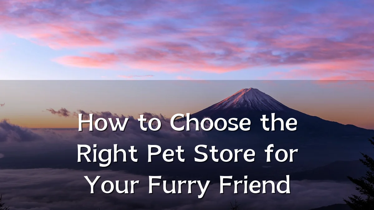 How to Choose the Right Pet Store for Your Furry Friend