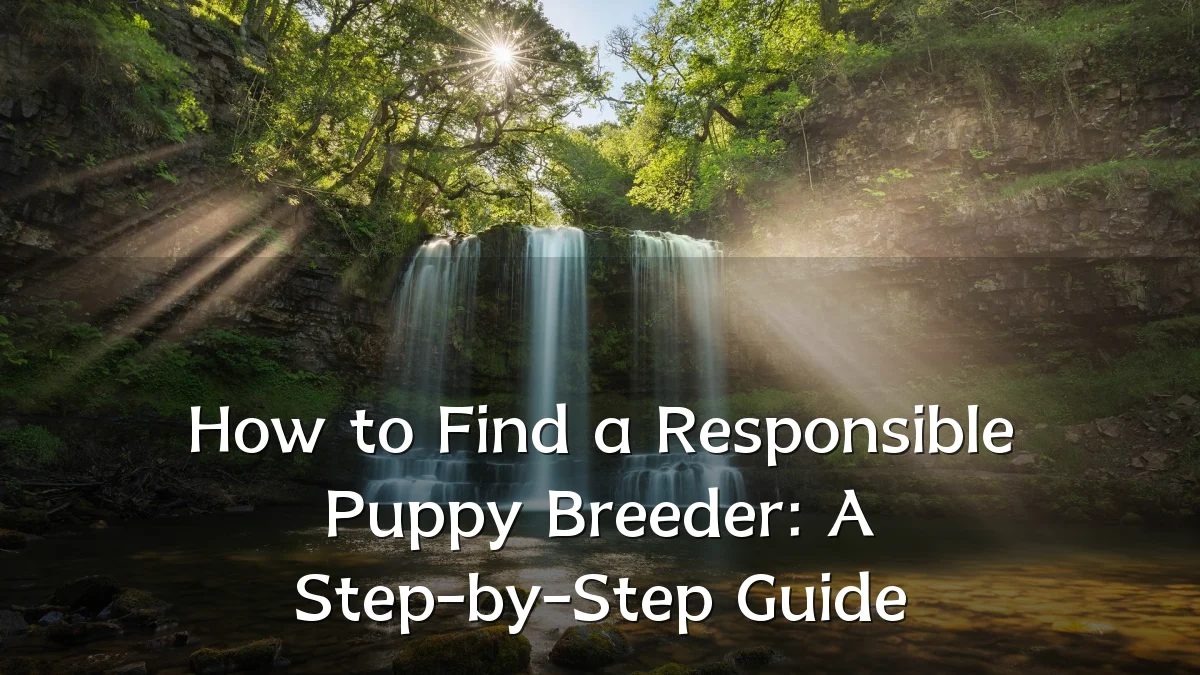 How to Find a Responsible Puppy Breeder: A Step-by-Step Guide