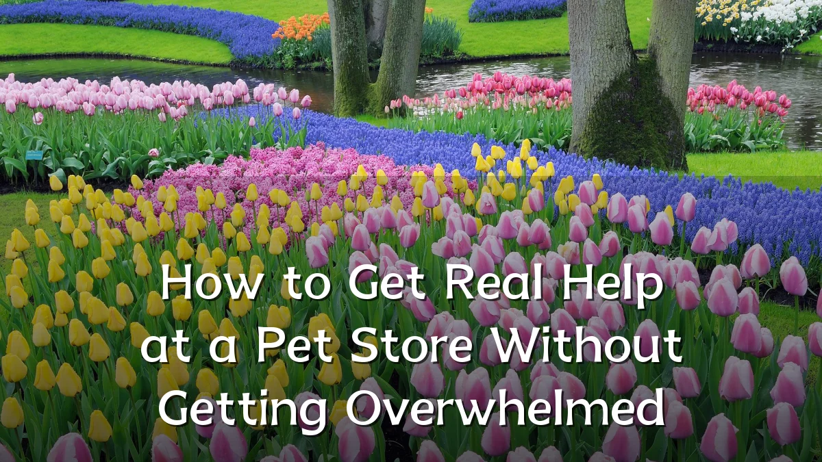 How to Get Real Help at a Pet Store Without Getting Overwhelmed