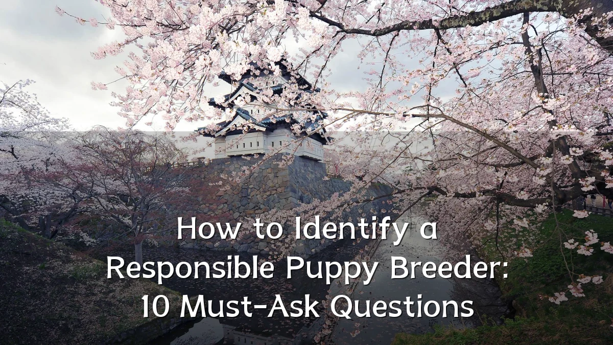 How to Identify a Responsible Puppy Breeder: 10 Must-Ask Questions