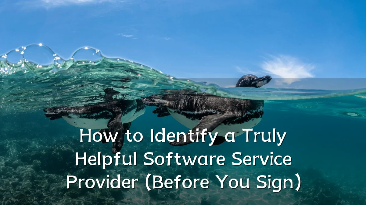How to Identify a Truly Helpful Software Service Provider (Before You Sign)