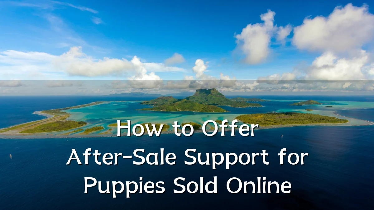 How to Offer After-Sale Support for Puppies Sold Online
